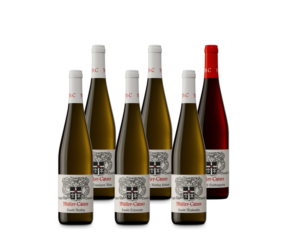 Probierpaket