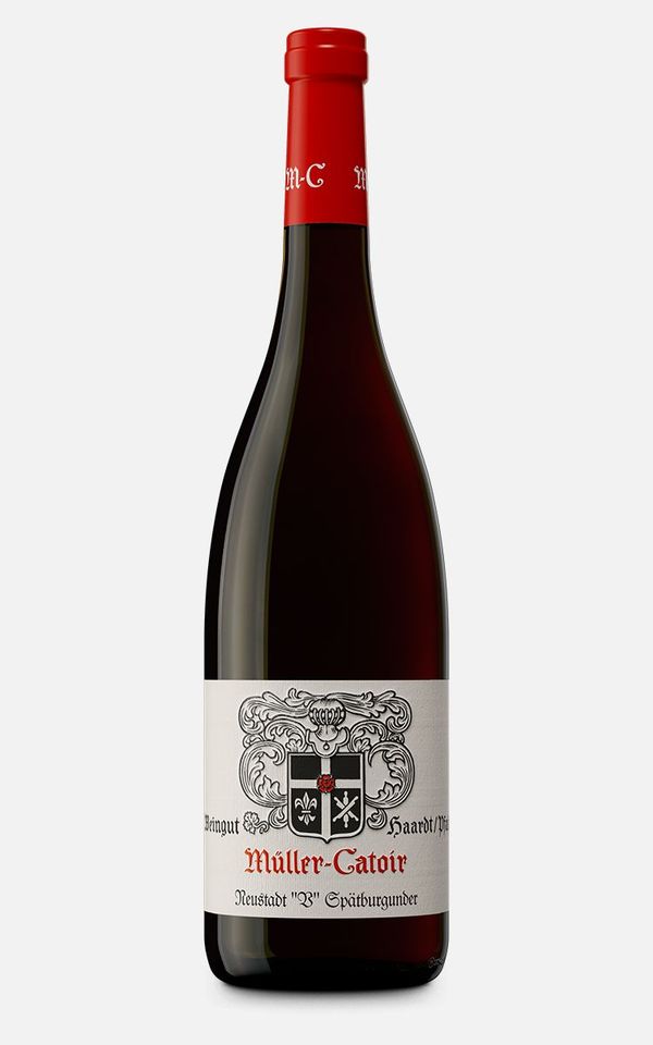 Spätburgunder Rotwein Neustadt 